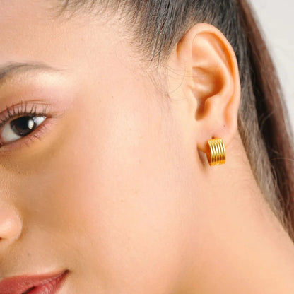 Pendientes Camila